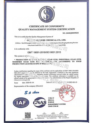 ISO 9001